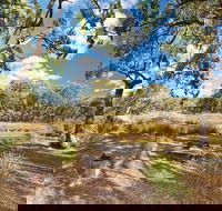 Kings Plains Creek campground - Surfers Paradise Gold Coast