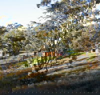 Molly's Chase - Surfers Paradise Gold Coast