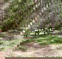 Mulloon Creek campground - Surfers Paradise Gold Coast
