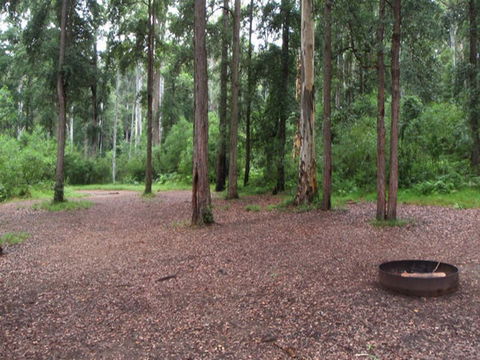 Murphys Glen Campground - Surfers Paradise Gold Coast 0