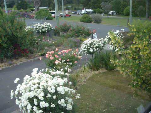 North East Restawhile Bed And Breakfast - Surfers Paradise Gold Coast 2