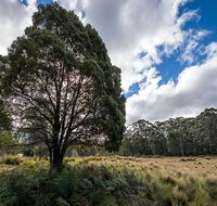 Nunnock campground - Surfers Paradise Gold Coast