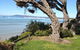 WhiteCliffs To Camerons Bight Foreshore Reserve - thumb 2