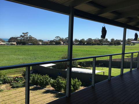 Falcon Blue - Surfers Paradise Gold Coast 1