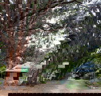 Fernleigh Accommodation - Surfers Paradise Gold Coast