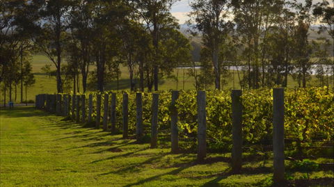 H Boutique Hotel - Surfers Paradise Gold Coast 0