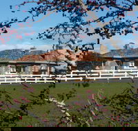 Little Sunnyside Accommodation - Surfers Paradise Gold Coast