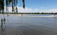 Wellington Caravan Park - thumb 1