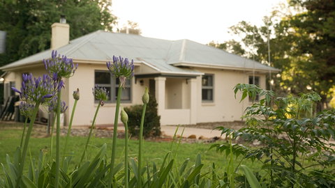 Wilkadene Cottage - Surfers Paradise Gold Coast 1