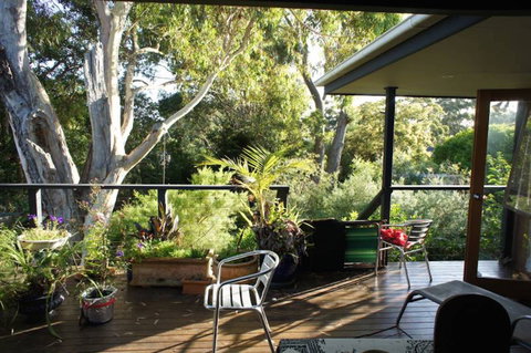 Kookaburra Dreaming - Surfers Paradise Gold Coast 2