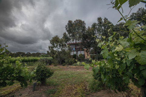 Sellicks Chills - Vineyard Retreats - Surfers Paradise Gold Coast 2