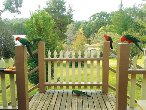 Warrumbungles Mountain Motel - Surfers Paradise Gold Coast 0