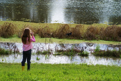 Wilga Hotel - Surfers Paradise Gold Coast 0