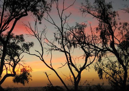Grandview Manor And Cottage - Surfers Paradise Gold Coast 1