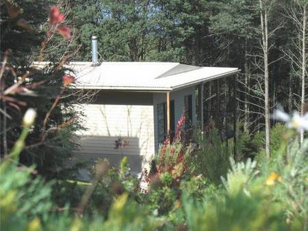 Lyrebird Cottages - Surfers Paradise Gold Coast 5