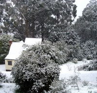 Tranquillity Cottage - Surfers Paradise Gold Coast