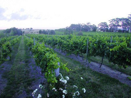 Glen Erin At Lancefield - Surfers Paradise Gold Coast 3