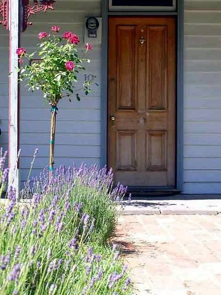Airleigh - Rose Cottage - Surfers Paradise Gold Coast 2