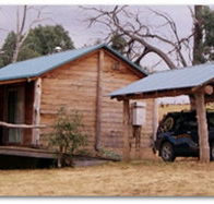 Gaddleen Grove Cottages - Surfers Paradise Gold Coast