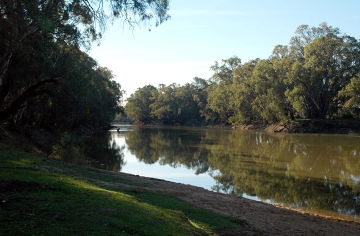 Swan Hill Holiday Park - Surfers Paradise Gold Coast 3