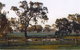 Ardwick Homestead - thumb 1