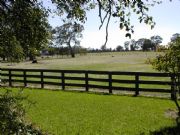 Ardwick Homestead - Surfers Paradise Gold Coast 2
