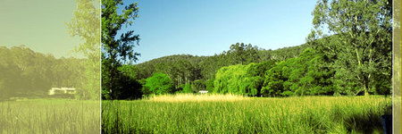 Waterholes Guest House - Surfers Paradise Gold Coast 0