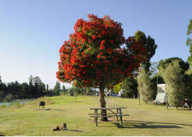 Stratford On The River Tourist Park - Surfers Paradise Gold Coast 2