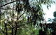 Mallacootas Shady Gully Caravan Park - thumb 0