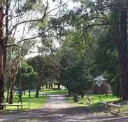 Moe Gardens Caravan Park - Surfers Paradise Gold Coast