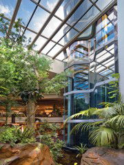 Travelodge Bankstown - Surfers Paradise Gold Coast 3