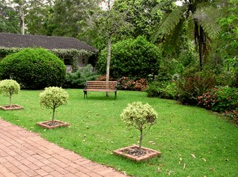 Tall Trees Motel - Surfers Paradise Gold Coast 2