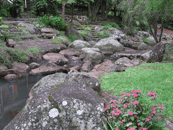 Tall Trees Motel - Surfers Paradise Gold Coast 3