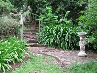 Tall Trees Motel - Surfers Paradise Gold Coast 4