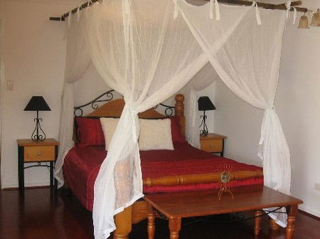 Attunga Park Country Retreat - Surfers Paradise Gold Coast 4