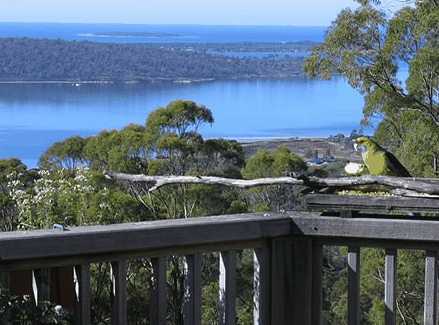 Bed in the Treetops - Surfers Paradise Gold Coast