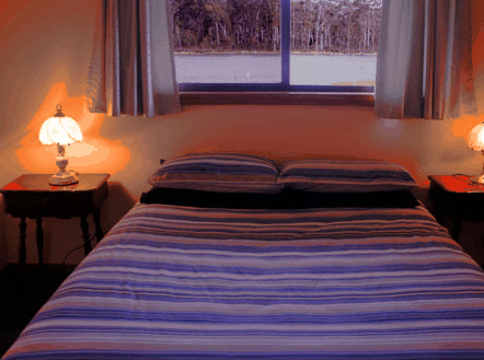 Lake Yalleena Cabins - Surfers Paradise Gold Coast
