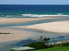 Scamander Beach Hotel Motel - Surfers Paradise Gold Coast 0