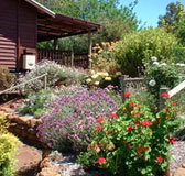 Chestnut Brook Cottage - Surfers Paradise Gold Coast