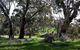 Wuthering Heights - thumb 1