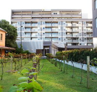Honeysuckle Executive Apartments - Surfers Paradise Gold Coast