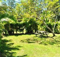 Wooli Caravan Park - Surfers Paradise Gold Coast