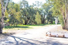 Wilcannia Caravan Park - Surfers Paradise Gold Coast 1