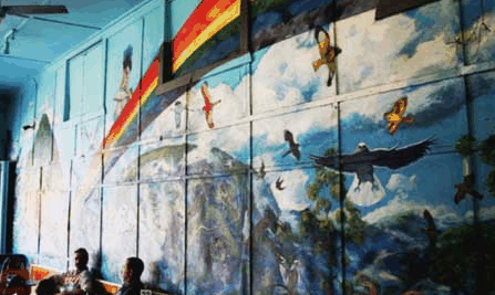 Nimbin Rox YHA - Surfers Paradise Gold Coast