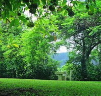 Misty Mountain Retreat - Surfers Paradise Gold Coast