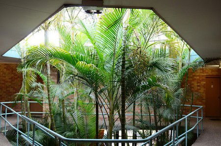 Bankstown Motel 10 - Surfers Paradise Gold Coast 5
