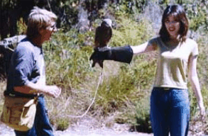 Eagles Heritage Raptor Wildlife Centre - Surfers Paradise Gold Coast 2
