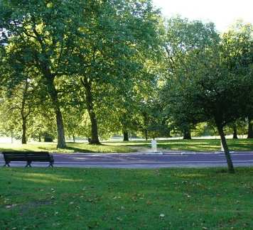 Roma Street Parkland - Surfers Paradise Gold Coast 0