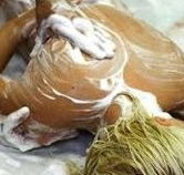 Exotique Massage - Surfers Paradise Gold Coast