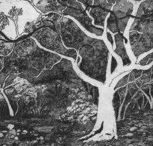 Tacit Contemporary Art - Surfers Paradise Gold Coast